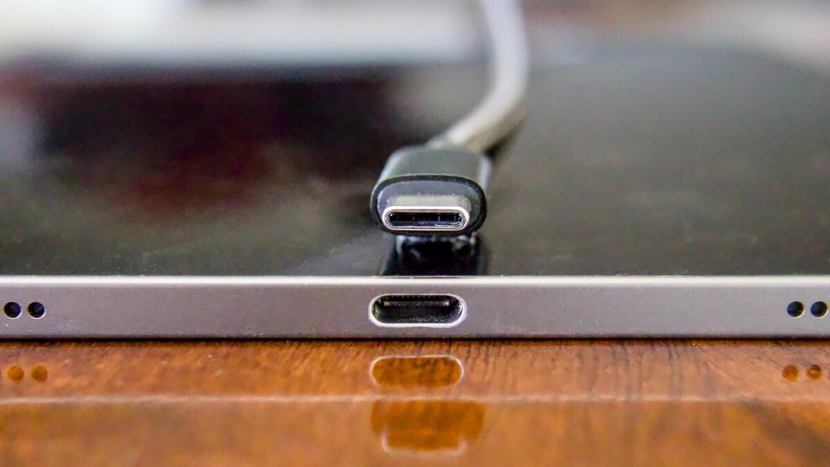USB-C 플러그와 이를 꽂는 포트를 나란히 확대 촬영한 사진